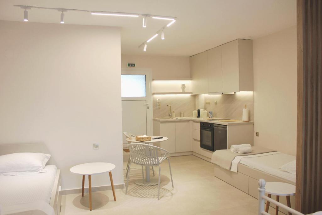 a small apartment with a bed and a kitchen at Thassos Studio Kai Lani in Potamiá