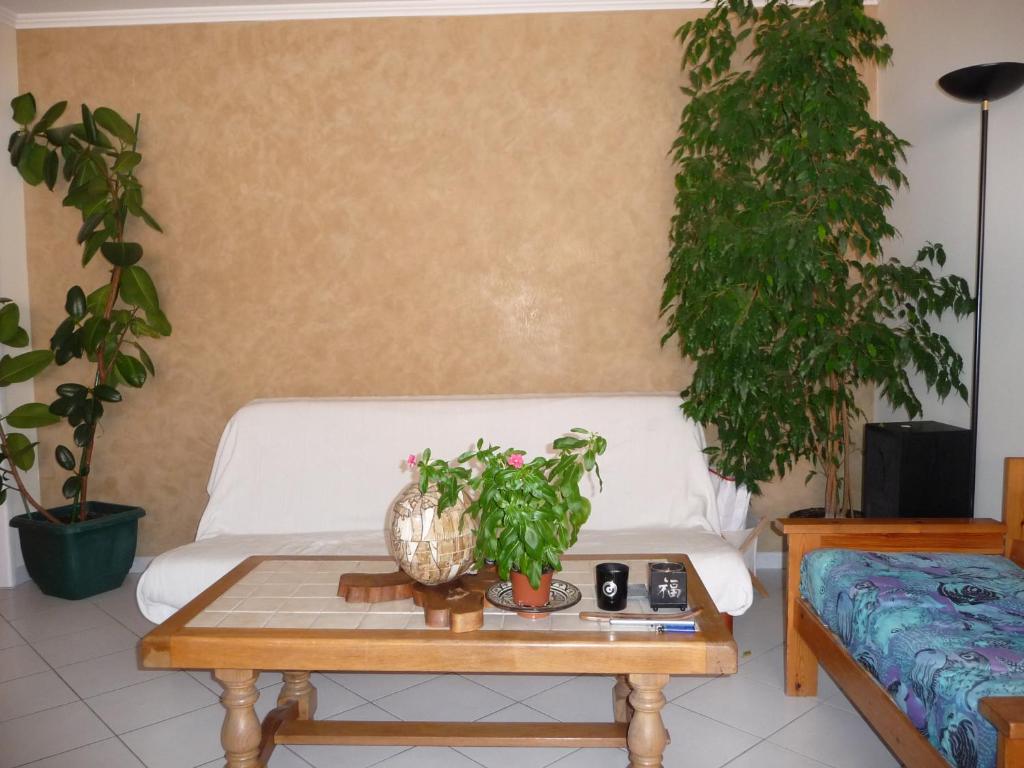 ニースにあるChambre chez l'habitant Nice Baie des Angesのリビングルーム(白いソファ、鉢植えの植物付)