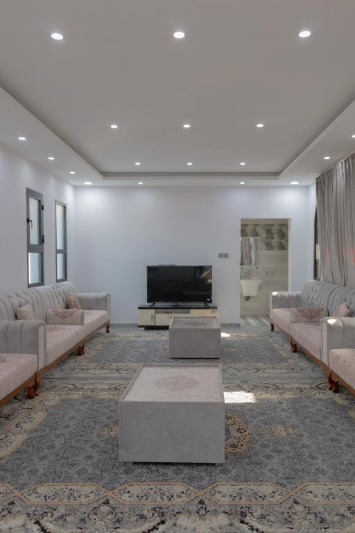 a living room with two couches and a fireplace at Villa Berka in Barka