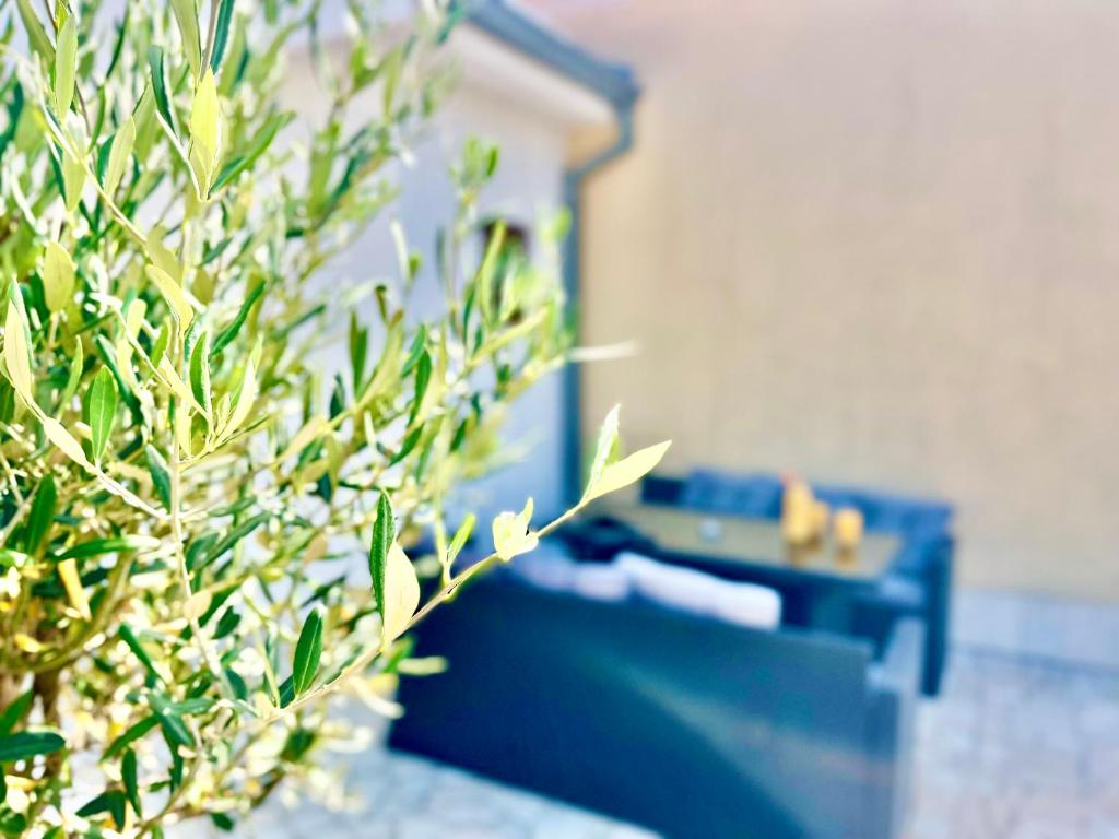 a blue couch in a living room with a plant at Apartment Bellaria in Jadranovo