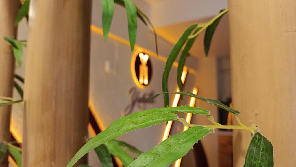 a plant in front of a wall with lights at Hotel Yahalis in Jilotepec de Abasolo