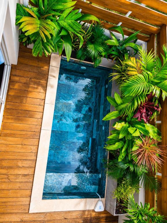a swimming pool with plants on a house at Villa Cap Jaune - 30min Volcan - Rando et Confort 4 étoiles in Saint-Joseph