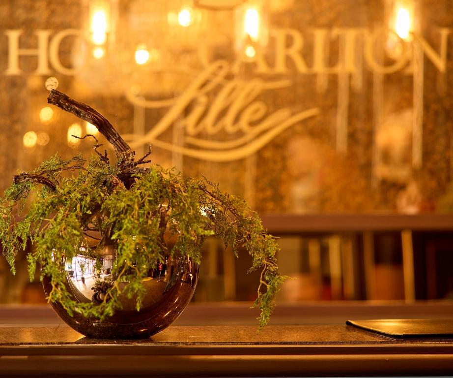 Hôtel Carlton Lille - Resim 26