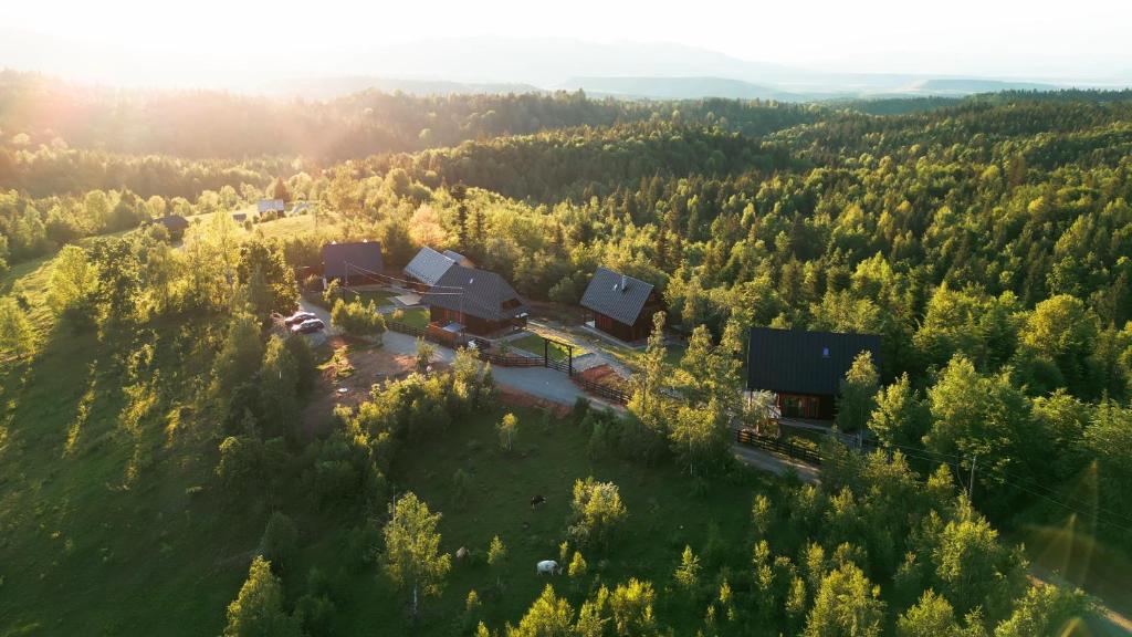 an aerial view of a house in a forest at Sunset Mountains Village in Dealu Negru