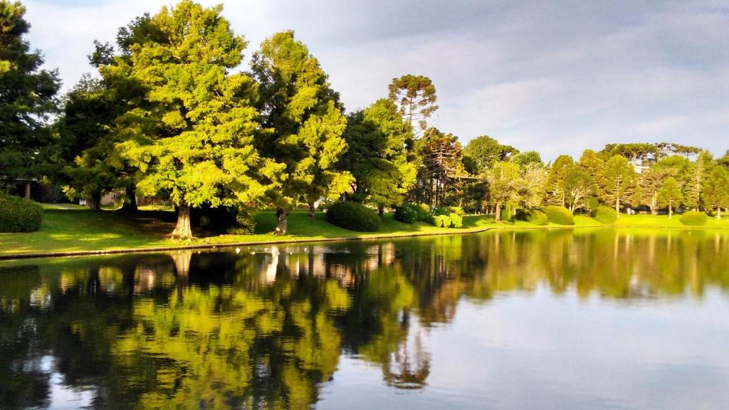 a view of a lake with trees in the background at Flat no Hotel Mountain Village in Canela