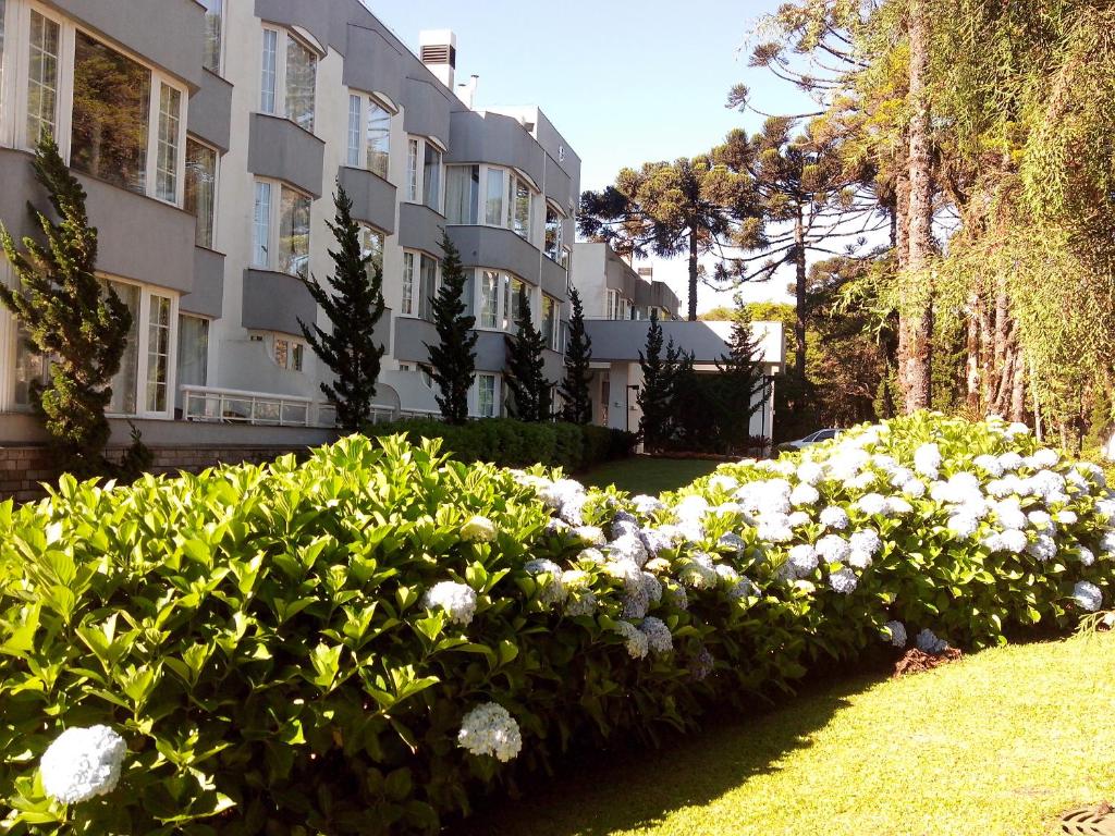  Flat no Hotel Mountain Village