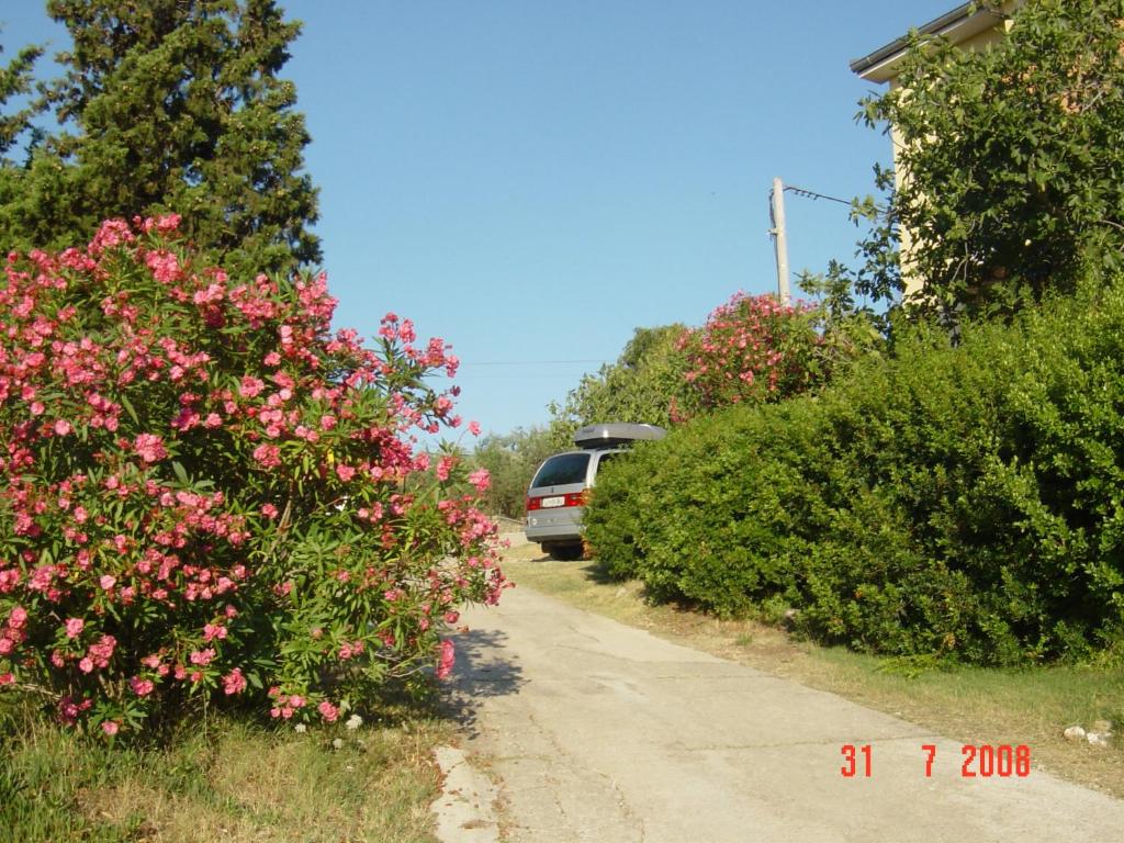 Fotografia z galérie ubytovania Apartments Prahović v destinácii Ždrelac