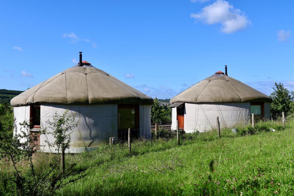two huts on top of a grassy field at Les Yourtes de La Valette in Floreffe