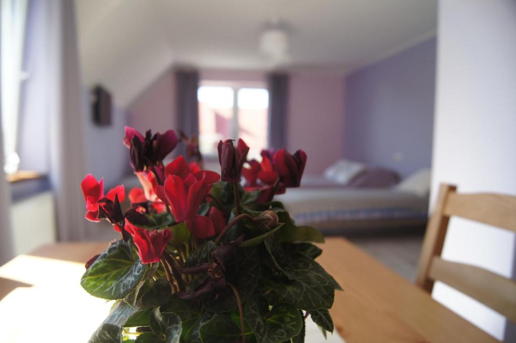 プルシュチ・グダンスキにあるVilla Terraのテーブルの上に赤い花瓶