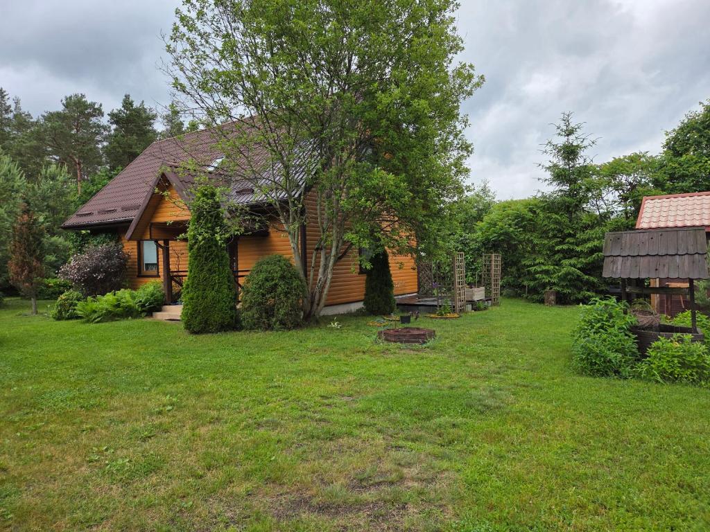 a house in a yard with a tree at Gorczyca Reset in Płaska