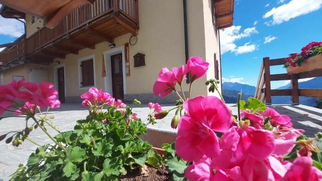 a bunch of pink flowers in front of a building at CAV MES VALLEES Torgnon Vda in Torgnon
