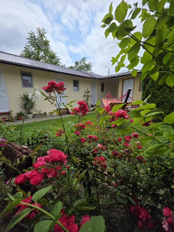 a garden with pink flowers in front of a building at Casa Ana Maria in Vama Veche