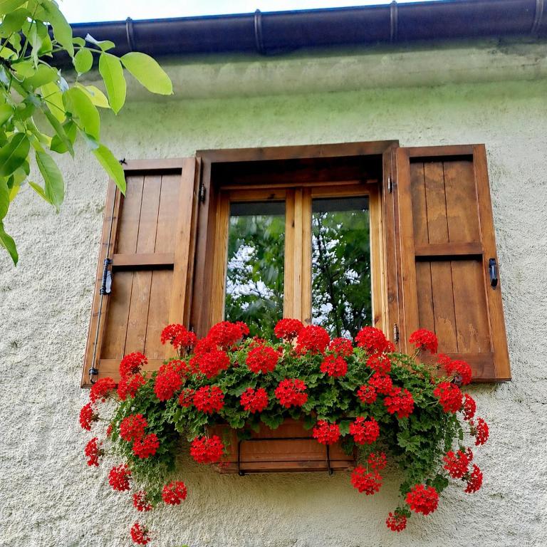 a window with red flowers in a window box at Rustic Italian House in Roccamorice