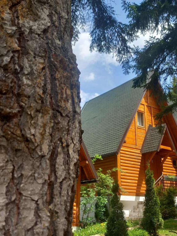 a log cabin with a tree at ZlatAir Eco Chalet in Nova Varoš