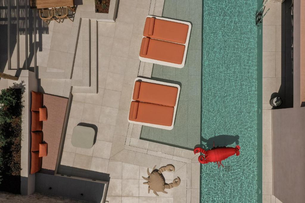 an overhead view of a dog and a fire hydrant at NINEMO Village in Fternón