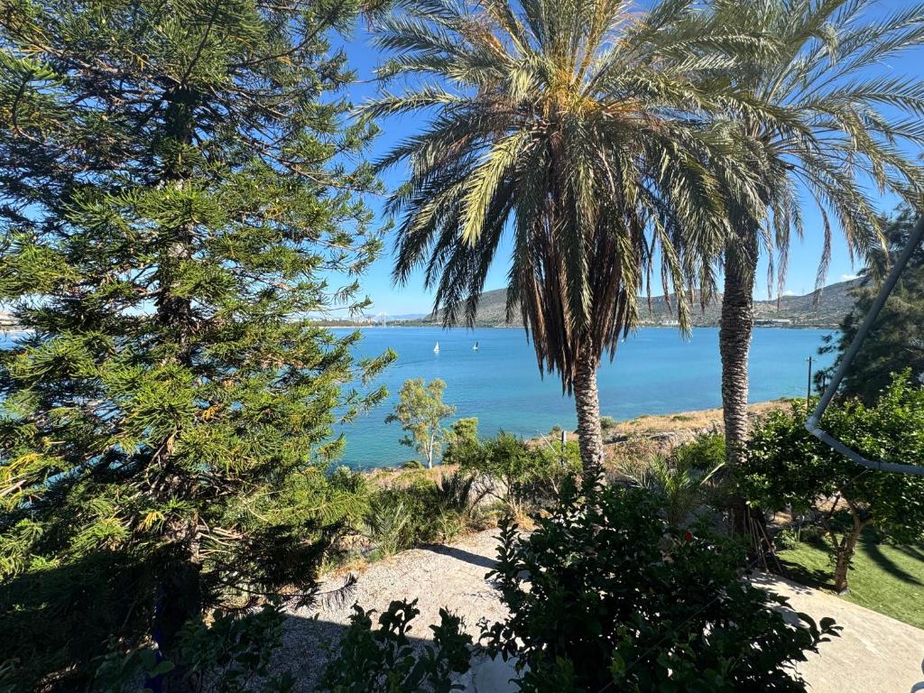a view of a beach with palm trees and the ocean at Elenas house in Kánithos