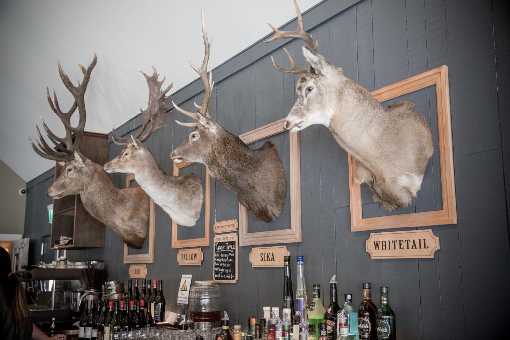 The Harvest Hotel - Resim 34