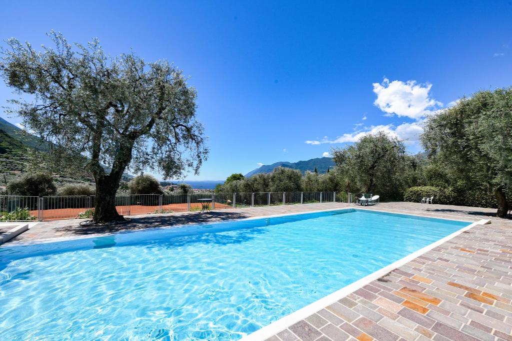 a large swimming pool with a tree in the background at Residence Kormorano Malcesine Apt 52 in Malcesine