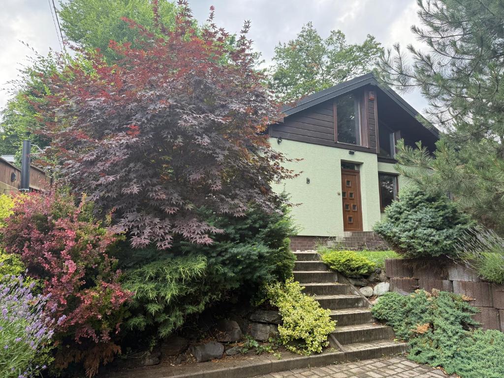 a small house with stairs leading up to it at Chalet-Širava in Vinné