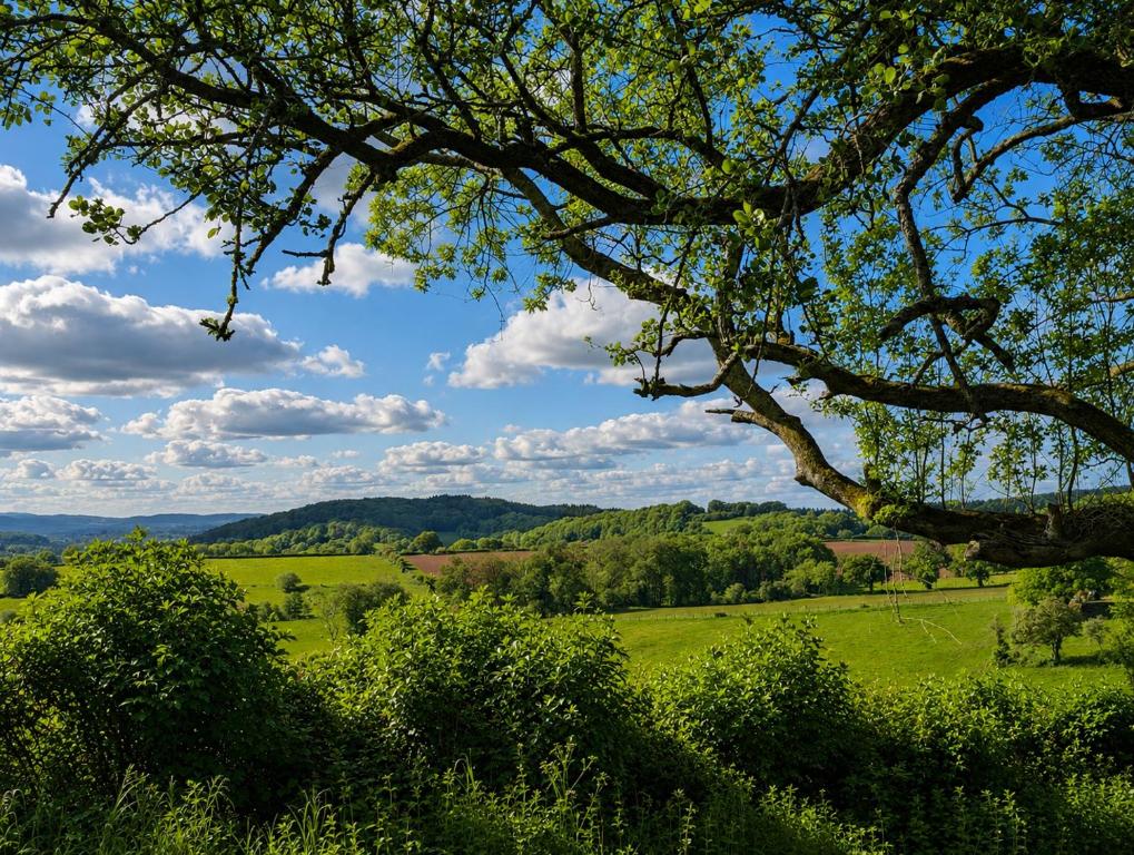 a green field with a tree in the foreground at Caplor Glamping & Lodges in Hereford
