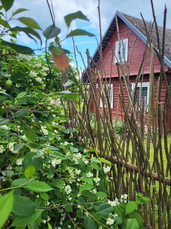 a wooden fence in front of a red house at Šimtametis namelis in Anykščiai