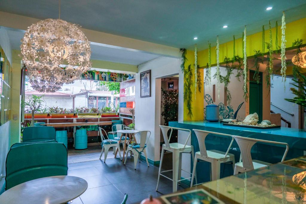 Nativus Art Hostel - Housity