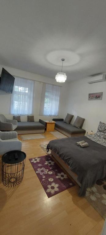 a living room with a bed and a couch and a couch at Ánizs Apartmanház in Makó
