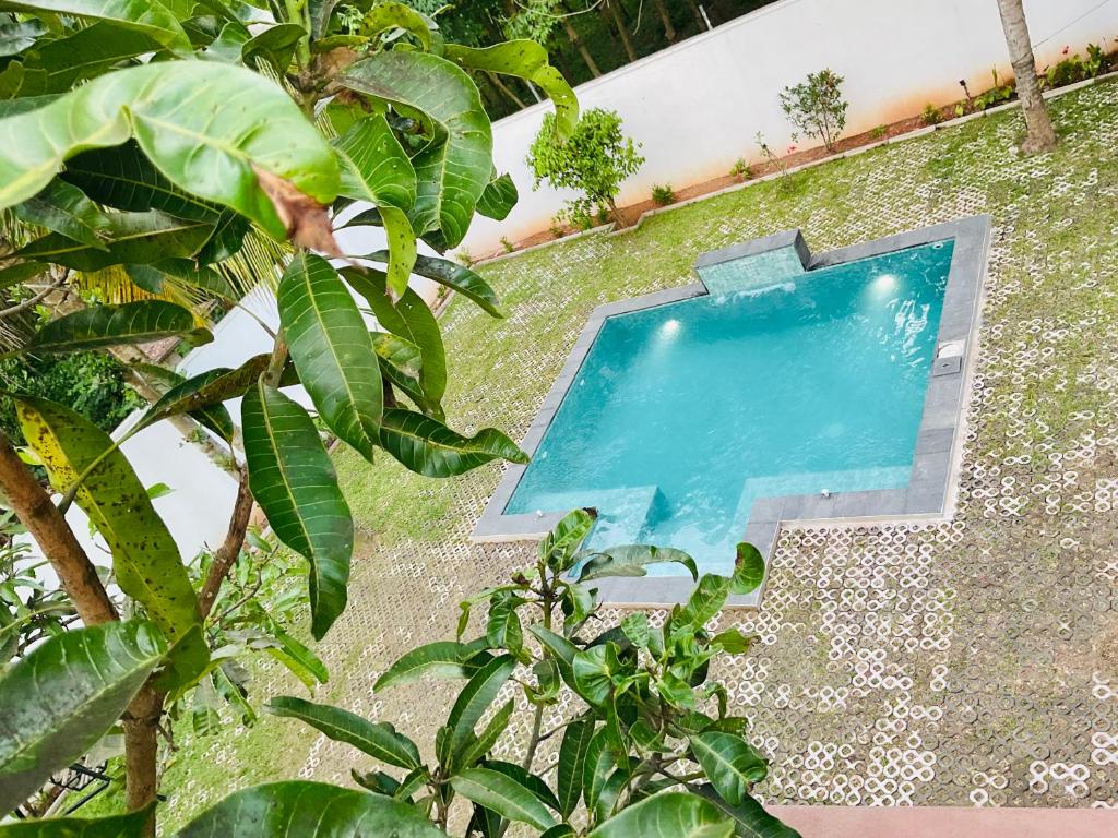 an overhead view of a swimming pool in a garden at Gedara Boutique in Katunayaka