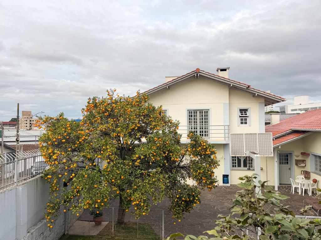 an orange tree in front of a white house at Morada Pé de Laranja in Lages