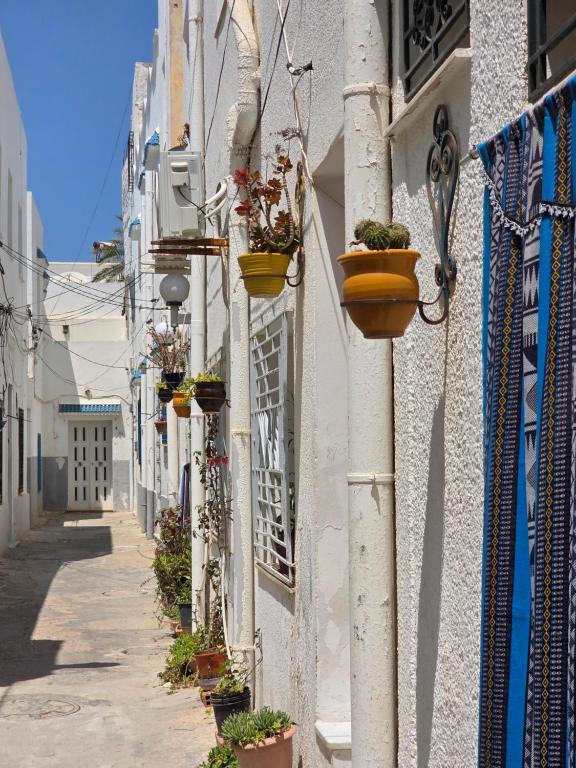an alley with potted plants on the side of a building at Antique seaside appartement in Mahdia