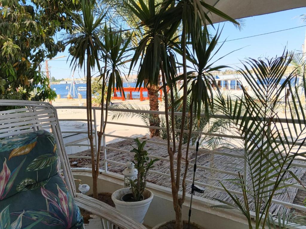 a balcony with palm trees and a view of the beach at River House Lodge in Luxor
