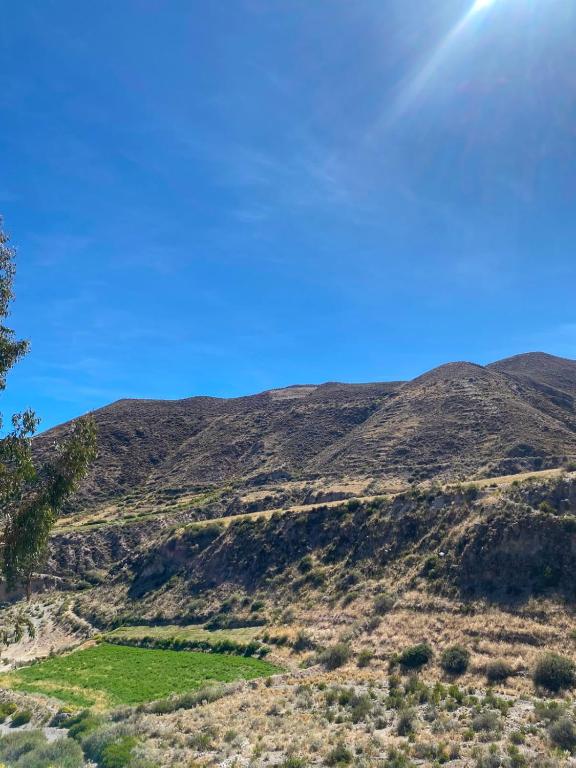 auliculiculiculiculiculiculiculiculiculiculiculiculiculiculic at Cabañas Wiñaypacha Putre in Putre