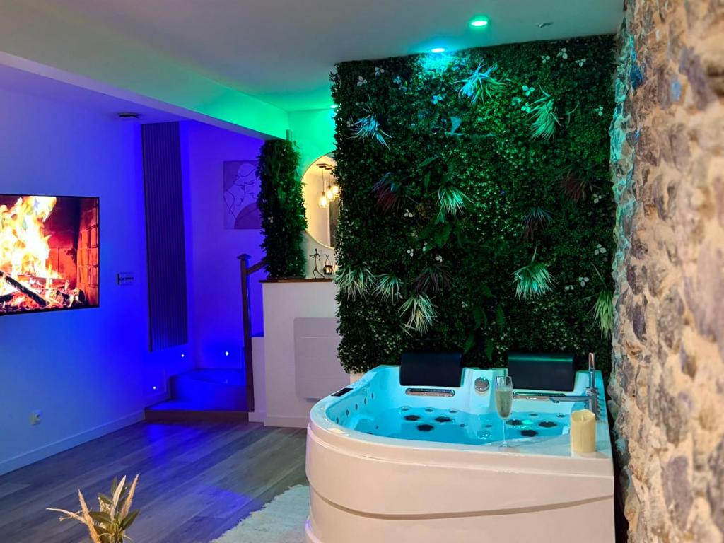 a green wall with a hot tub in a room at Villa Romance Intime Prestige -Jacuzzi Privatif, , Table a massage , Fauteuil tantra, Balançoire romantique in Vienne