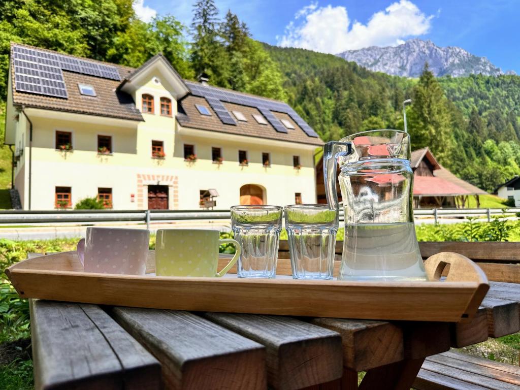 a tray with glasses and a blender on a table at Farmhouse Štiftar in Solčava