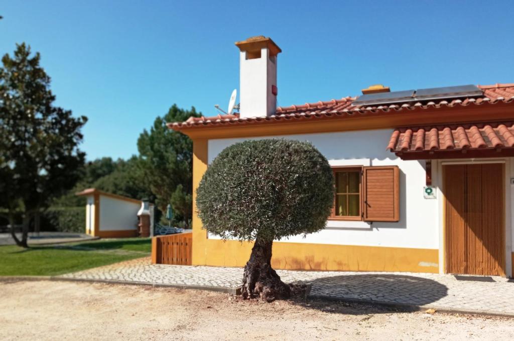 a small tree in front of a house at Casa da Eira em Dornes - Casa de campo familiar com piscina in Dornes
