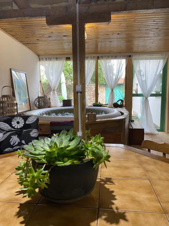 a bedroom with a bed and a large plant at Vila Agroturizam Kućica Mostar in Mostar