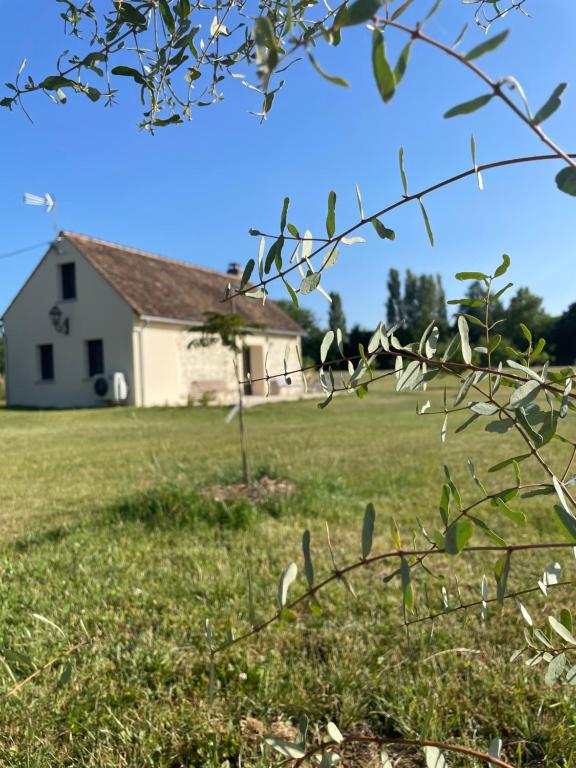 a field with a white house in the background at Parenthèse au Gué des Archers maison climatisée in Saint-Valérien
