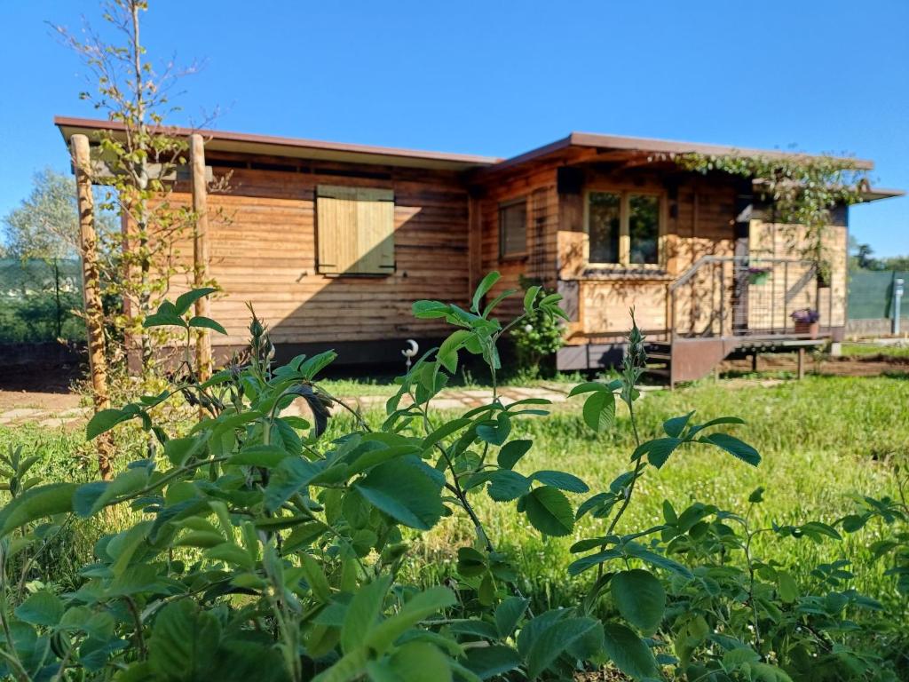 a log house with a porch in a field at Jasmine & Rose House in Udine