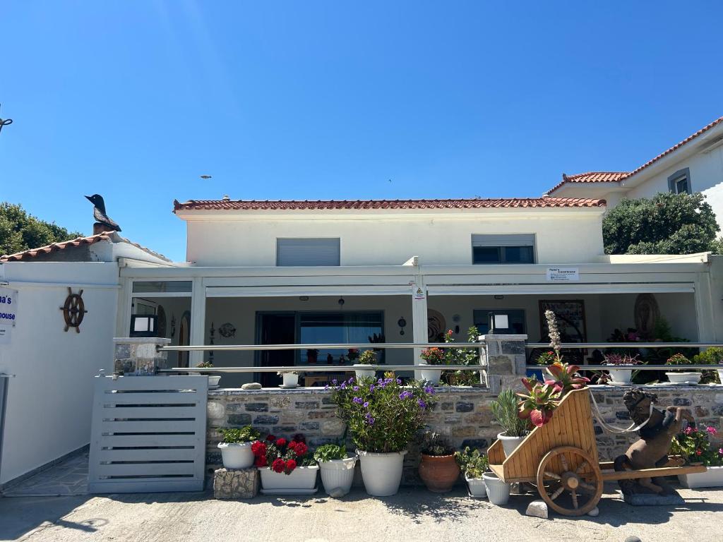 a house with potted plants in front of it at Nana's Guesthouse in Samos