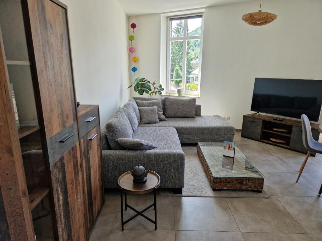 a living room with a couch and a tv at Echternach Center Charming Apartment in Echternach