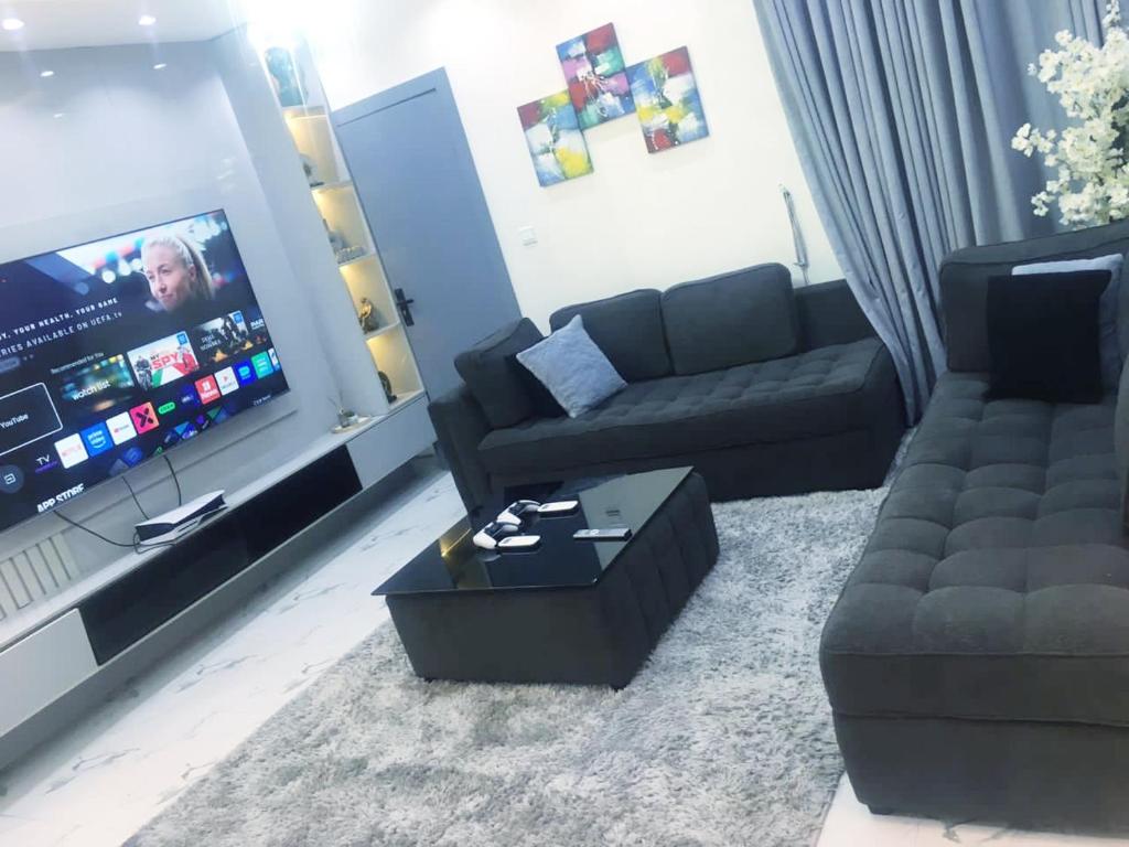 a living room with a couch and a tv at Vintage Apartment in Araromi