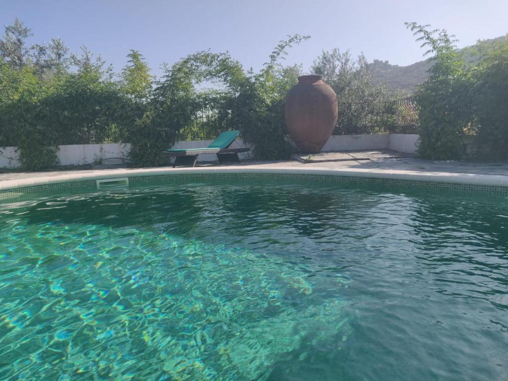 a pool of water with a bench next to it at Monte do Laranjal in Monsaraz