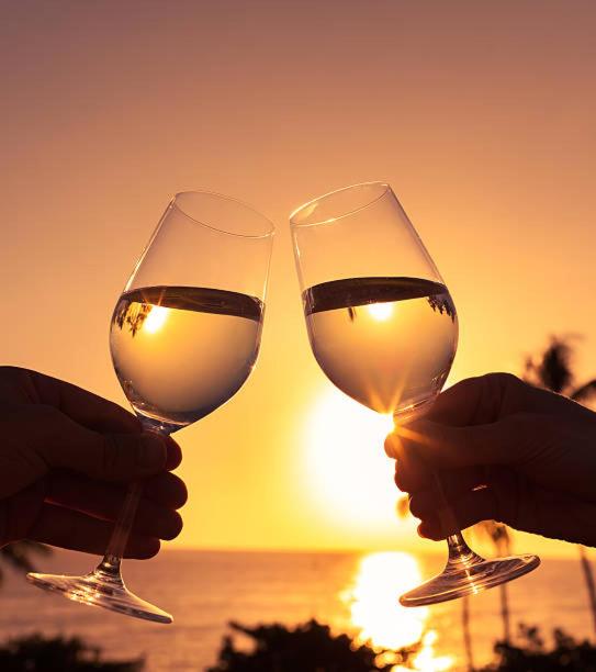 two people holding wine glasses in front of the sunset at Romantic Hot Tub Retreat - Enso Botanico Boutique Villa 1, Kosmos in Hartbeespoort