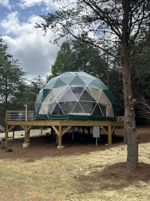 a tent on a picnic table next to a tree at Pilot Mountain Glamping Resort in Pinnacle
