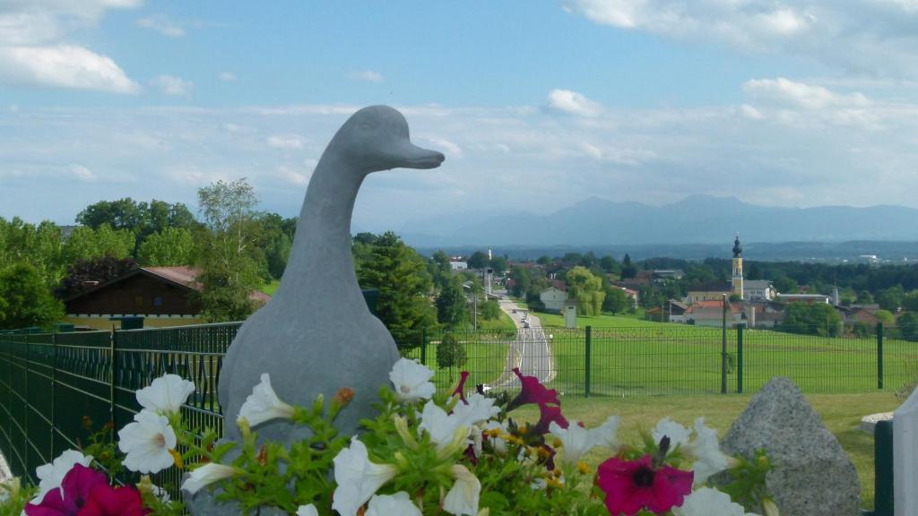 Příroda nedaleko penzionu – hostince