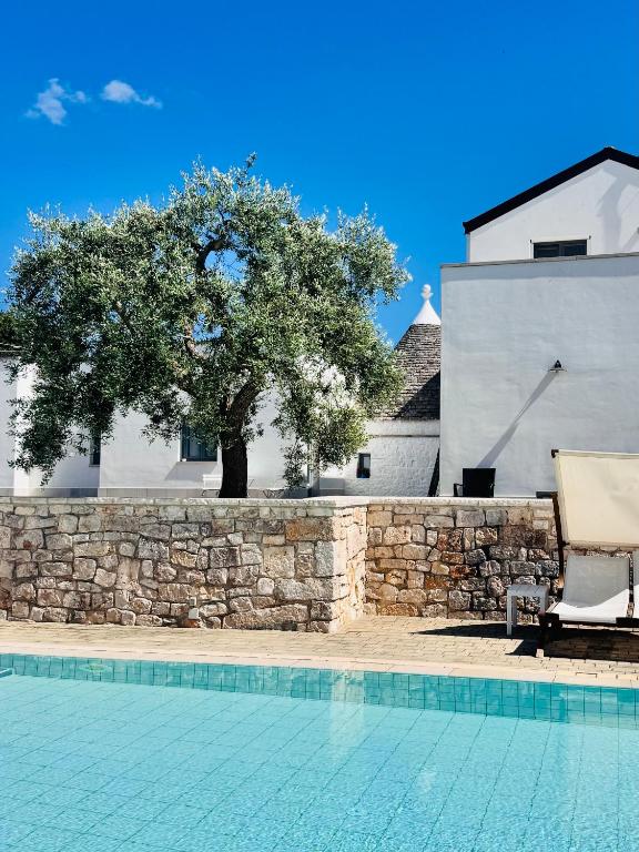 a chair and a tree next to a swimming pool at Trullitria Rooms in Alberobello