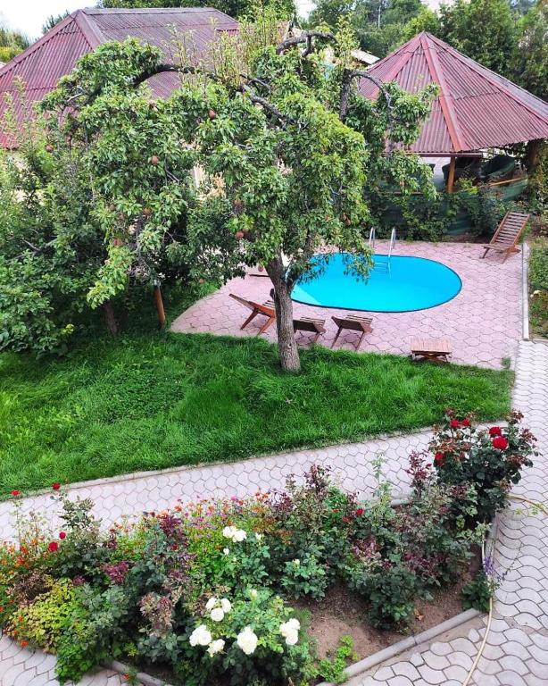 an overhead view of a garden with a tree and a pool at Green House in Cholpon-Ata