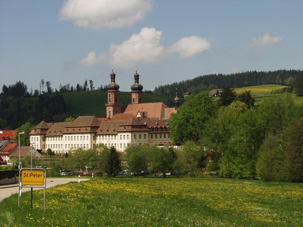 Příroda nedaleko hotelu
