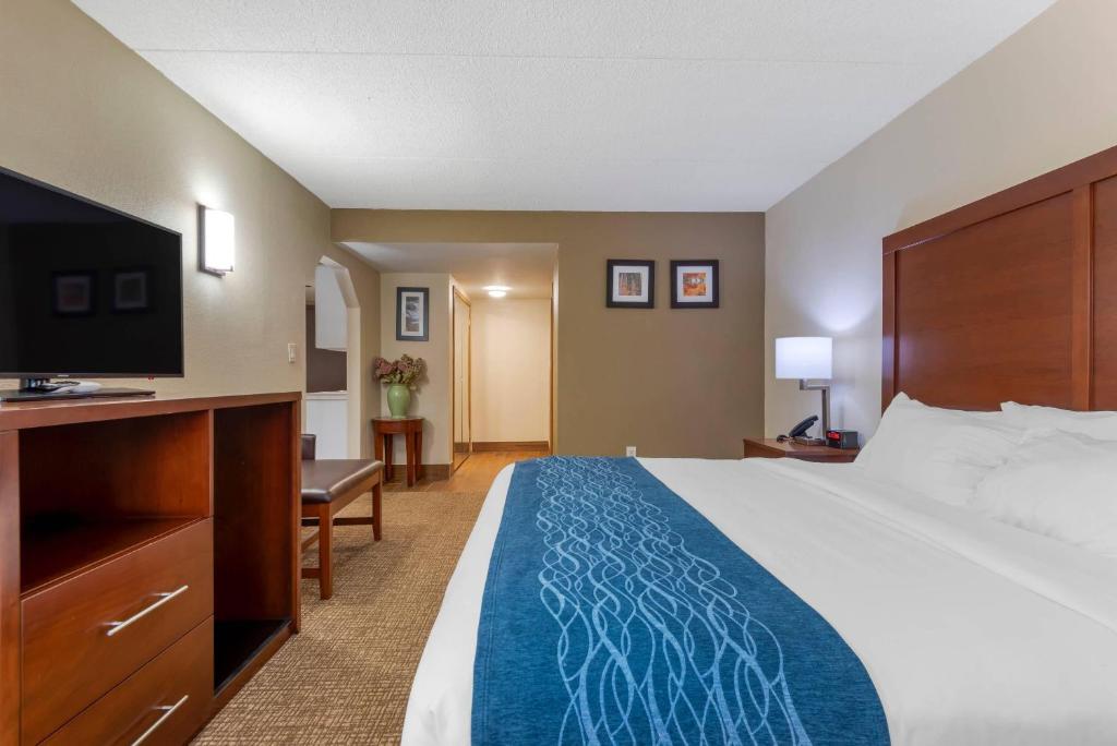 Comfort Inn Binghamton I-81 photo