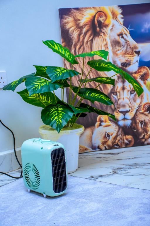 a plant sitting next to a fan next to a painting at JULIAH NASERIAN BnBS in Narok